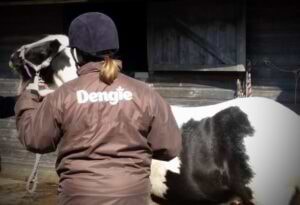 Feed Advice Day