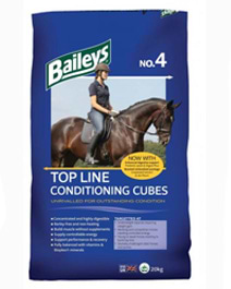 Topline_conditioning_cubes
