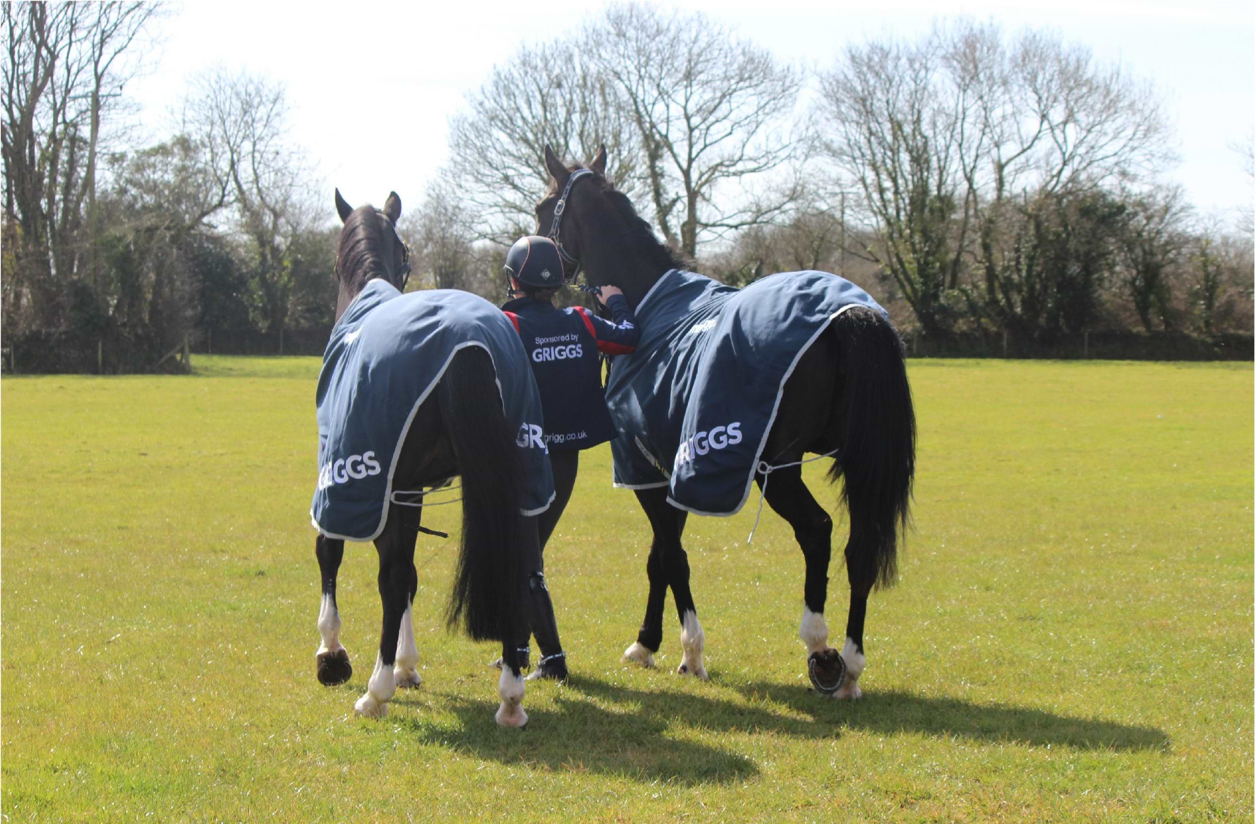 horses