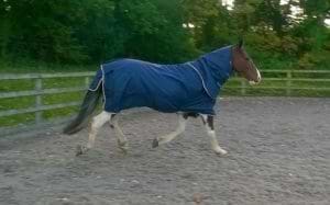 Horseware Just-a-Rug Medium 200g Detachable- Neck