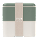 Vierkante Bento Groen