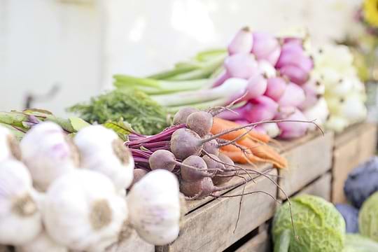 10 tips om vegetariër te worden en vegetariër te blijven!image