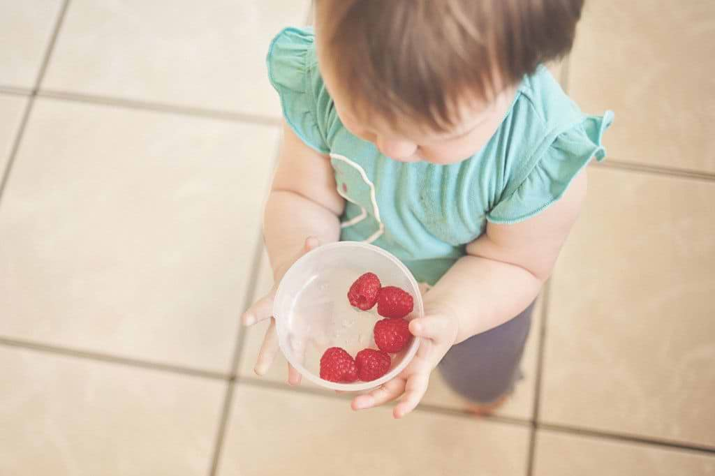 La viande est-elle indispensable pour l’alimentation des enfants ? 