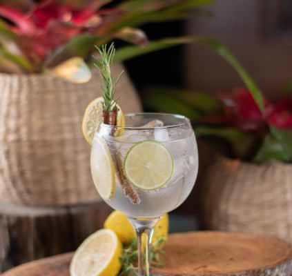 Gin sour