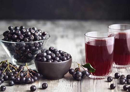 Zoom sur l’Aronia : bienfaits, provenance, consommationimage