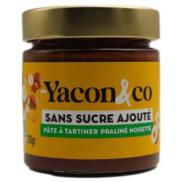 Pâte à Tartiner Praliné Sans Sucre BIO