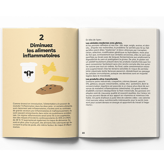 Ebook : Guide de l’Alimentation anti-inflammatoire 2