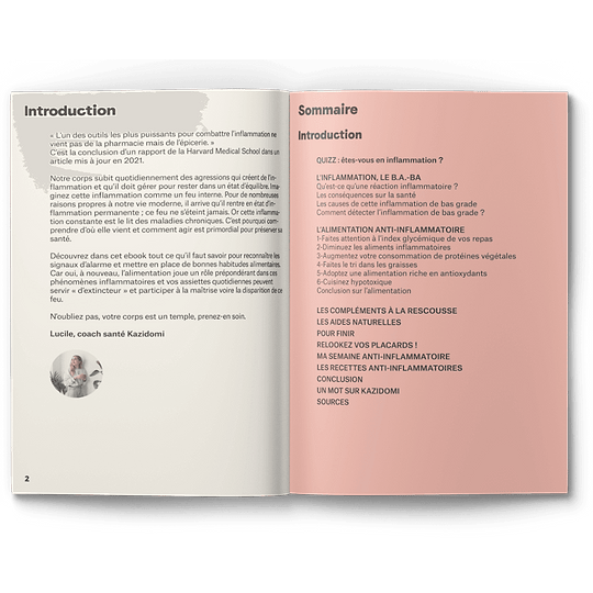 Ebook : Guide de l’Alimentation anti-inflammatoire 1