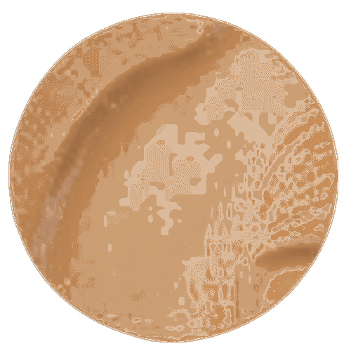 Fond De Teint Éclat SPF15 Olive