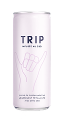 CBD Infused Drink Elderflower Mint 