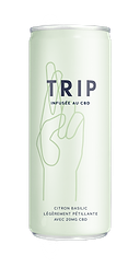 Boisson Infusée CBD Citron Basilic 
