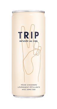 Boisson Infusée CBD Pêche Gingembre 
