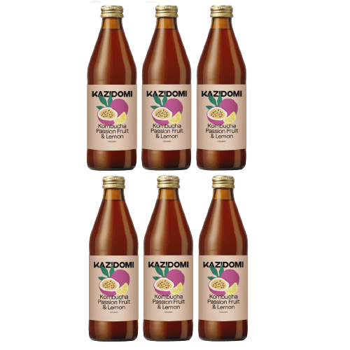 X6 Pack Passievrucht Citroen Kombucha BIO