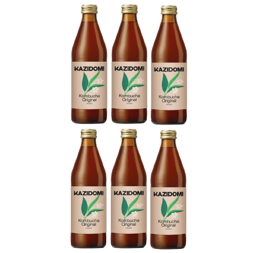 Original Kombucha Pack Organic