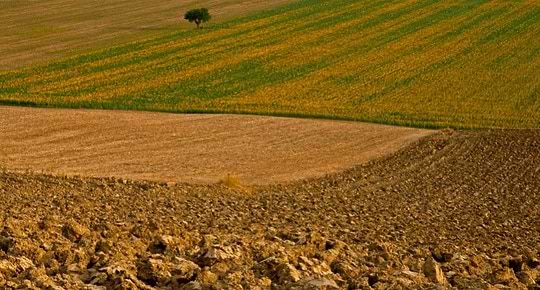 Pourquoi consommer bio ?image