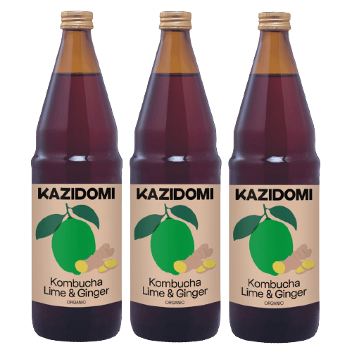 Pack X3 Kombucha Lime Ginger Organic