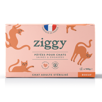 Pack Pâtée Chat Adulte Bœuf