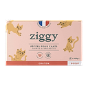 Kitten Beef Pâté Pack