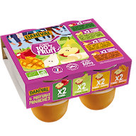 Mixed Fruit Puree organic