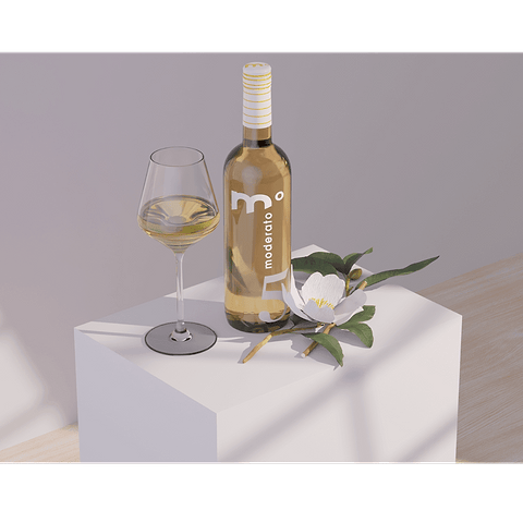 Vin Blanc Allégé Alcool 5°