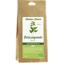 Feuilles Ortie Piquante bio