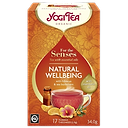 Infusion Bien Etre Naturel bio