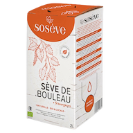 Lacto-fermented Birch Sap 5 Buds Organic organic