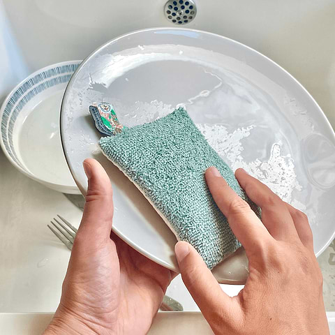 Green Eco Sponge