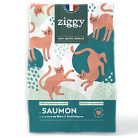 Grain-free Salmon Adult Cat Kibble