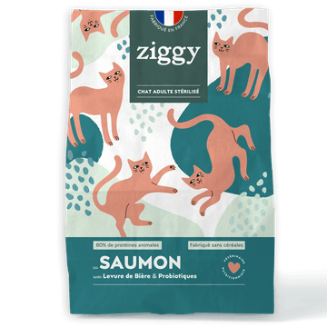 Croquettes Chat Adulte Saumon Sans Céréales