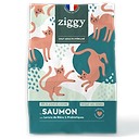 Grain-Free Salmon Cat Kibble 