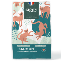 Grain-free Salmon Cat Kibble