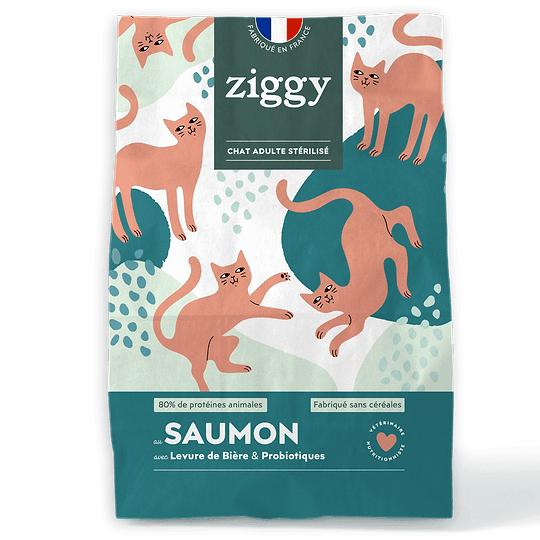 Grain-Free Salmon Cat Kibble 0