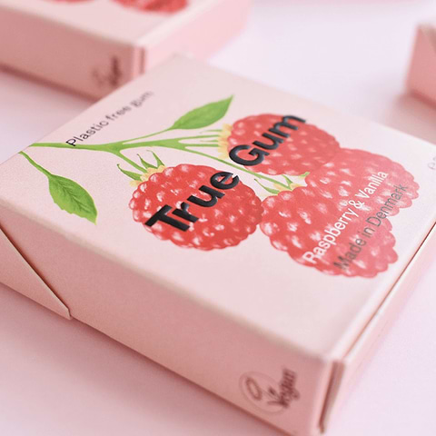 Raspberry Chewing Gum Organic