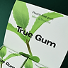 Mint Chewing Gum 1