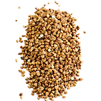 Hulled Buckwheat Seeds In Bulk