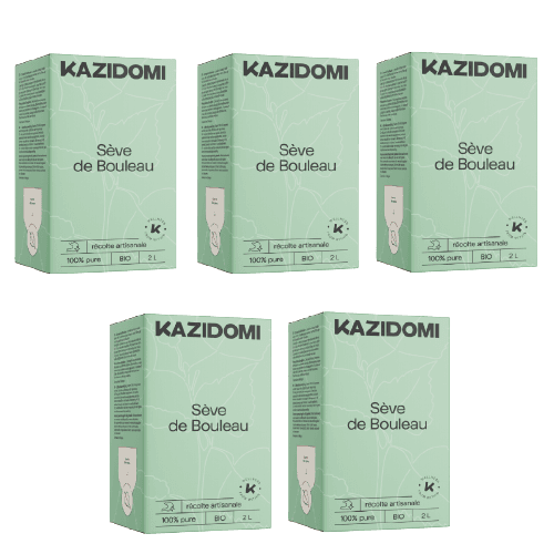 Pack Sève de Bouleau