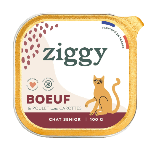 Gestoomd Rundvlees Kattenvoer Senior