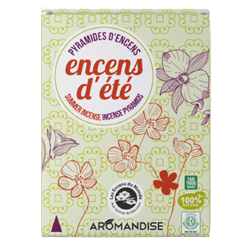 Pyramides Encens Eté Citronnelle Anti Moustique