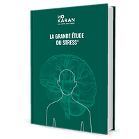 Ebook: Het Grote Stress Onderzoek
