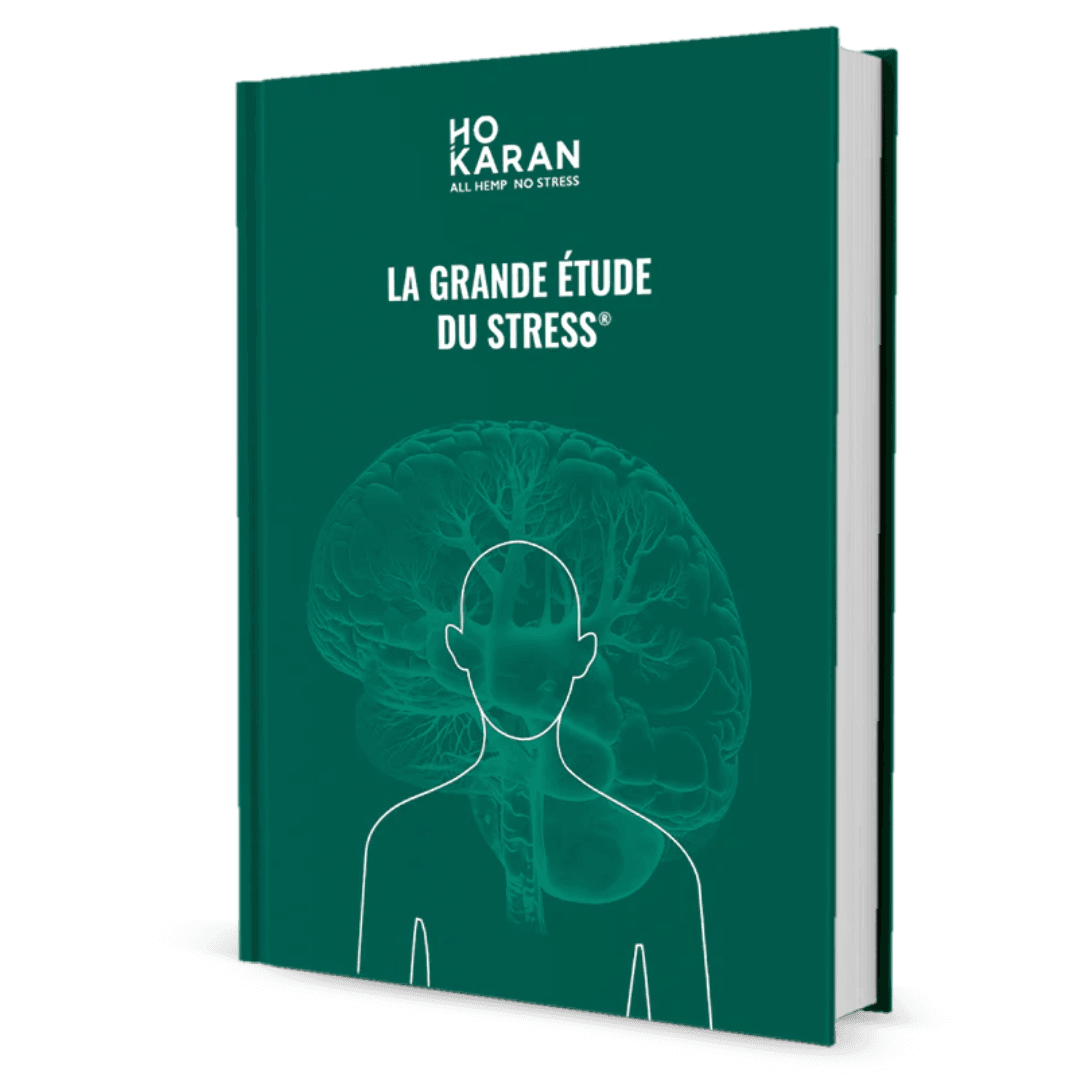 Ebook: Het Grote Stress Onderzoek 0