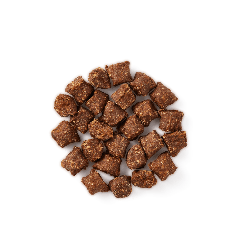 Mini Snack Voor Kat