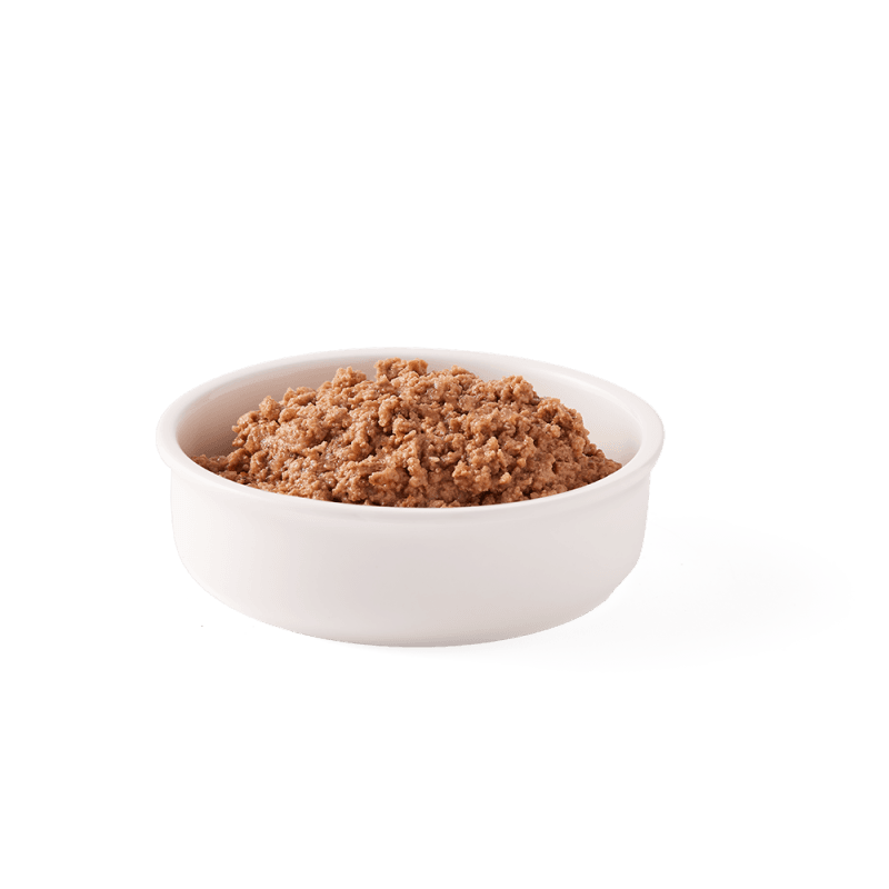 Salmon Turkey Beef Cat Multi Pack Grain-Free
