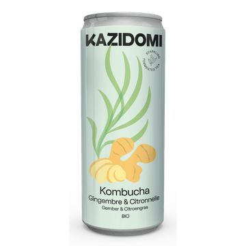 Kombucha Gember Citroengras BIO