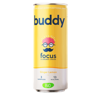 Energy Drink Lemon Ginger BIO