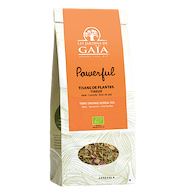 Kruidenthee Maté Kaneel Kracht bio