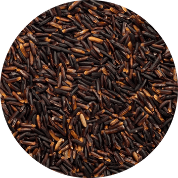 Black Thai Jasmine Rice Organic