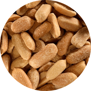 Cacahuètes Grillées En Vrac BIO