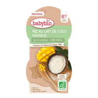 Riz Lait  Coco Mangue Dès 8 Mois BIO