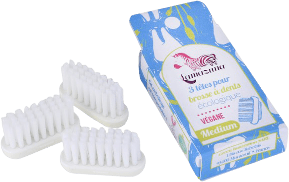 Recharge de 3 têtes brosse à dents Medium